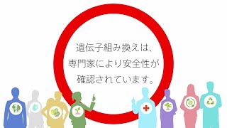 遺伝子組み換え作物は専門家により安全性が確認されています [upl. by Lekram]