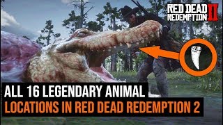 ALL 16 Legendary Animal Locations in Red Dead Redemption 2 [upl. by Haydon91]