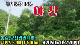 매물355야산군위군청15분지방도로에서500m포장도로전기고도낮으며잡목70이상시골땅싼당싼농지주말농장지전원주택지임야촌집묘터집터의성부동산경북부동산매매 [upl. by Suoilenroc]