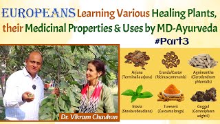 Part3  Europeans Learning Various Healing Plants their Medicinal Properties amp Uses by MDAyurveda [upl. by Anehc905]