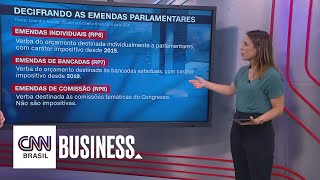 Priscila Yazbek explica a diferença entre os tipos de emendas parlamentares  NOVO DIA [upl. by Fidela]