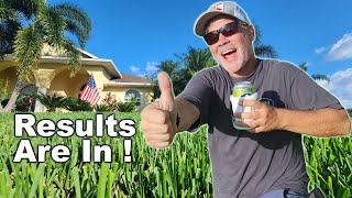 FINAL RESULTS  How To Get Rid of Bermuda in St Augustine Grass and zoysia [upl. by Nnagem]