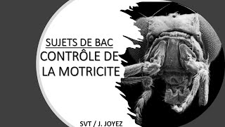 SUJETS BAC MOTRICITÉ 1 [upl. by Medovich]