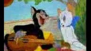 somali Tom and Jerry [upl. by Nagar6]