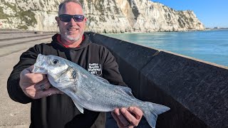 Short fishing session at Samphire hoe bass [upl. by Anifesoj]