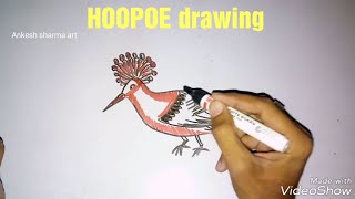 Bird drawing HOOPOE drawing हुदहुद का चित्र [upl. by Inatsed]