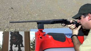 Rossi 410 Slug Shooting [upl. by Nirre486]