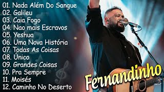 FERNANDINHO ÁLBUM NOVO  OS MELHORES HINOS GOSPEL DO FERNANDINHO [upl. by Frans]