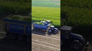 Chopping corn silage ClassJaguar990 Zaccaria trail NewHollandT7245 farming agriculture farmlife [upl. by Remle532]