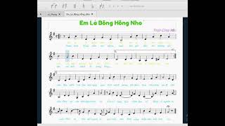 Em Là Bông Hồng Nhỏ  Âm nhạc 4 Cánh diều [upl. by Ries]