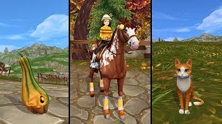 Getting a Horse and Two Pets  Halloween Moments Star Stable [upl. by Jael]