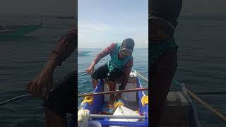 BEAST MODE FISHING Massive Billfish marlinfishing bigfish fishing [upl. by Alessig]