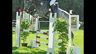 2012 high quality Hanoverian jumping prospect wwwsporthorsesonlinecom [upl. by Nahtahoj683]