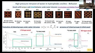 A Ryzhikov  CECAM Workshop quotFLUIDS IN POROUS MATERIALSquot [upl. by Lebazej830]