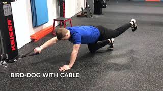 18 AntiRotation Exercises to Build and Bulletproof Your Core [upl. by Tacy]