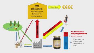 Intégration de la comptabilité de la nature est un élément de la financiarisation de la nature [upl. by Nata]