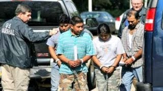 Study Illegal immigration costing taxpayers 135B a year [upl. by Anatolio]