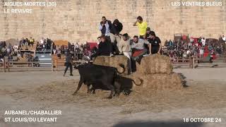 AIGUES MORTES MANADES AUBANEL CHABALLIER ST LOUIS ET DU LEVANT LE 18 OCTOBRE 24 LE REVIVRE [upl. by Atsirak]