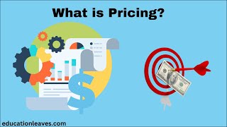 What is Pricing in marketing  Pricing strategies [upl. by Sedruol]