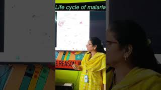 Life cycle of malarial parasite Plasmodium biology bloodreport [upl. by Rochelle]