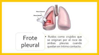 Unidad VI Exploración de tórax Tema Ruidos respiratorios [upl. by Aizitel]