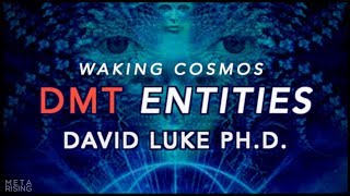 What are DMT Entities  David Luke PhD on Waking Cosmos [upl. by Biebel]