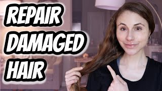 How to REPAIR DAMAGED HAIR Dr Dray [upl. by Alleuqram]