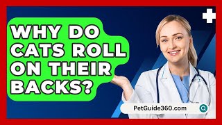 Why Do Cats Roll On Their Backs  PetGuide360com [upl. by Ambrosane]