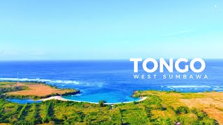 TONGO  WEST SUMBAWA [upl. by Read]