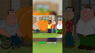 Family Guy 2024 Season 22 Ep 16 Pumpkin Contest Rivalry Can I Beat Patrick McCloskey suscribe [upl. by Nnairb]