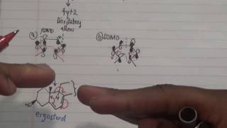 Convert Ergosterol to provitamin D2 by photochmical electrocyclic reaction [upl. by Rimaj71]