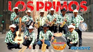 LOS PRIMOS DE ILLESCAS POPURRI DE CUMBIAS EN VIVO [upl. by Llemej]