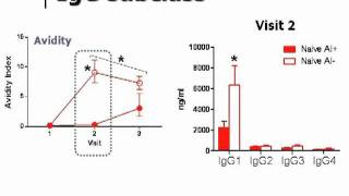 The Immunology of OilinWater Adjuvants for Influenza Vaccines [upl. by Immas581]