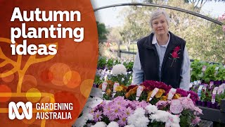 Autumn planting ideas to bring out your gardens colour  Garden Inspiration  Gardening Australia [upl. by Bull51]