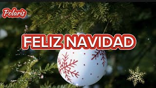 FELIZ NAVIDAD  Christmas Song lyrics  Polaris [upl. by Ahsaet]