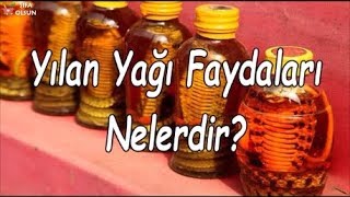 Yılan Yağı Faydaları Nelerdir [upl. by Ecniv]