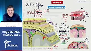 Neurología  4 MENINGITIS [upl. by Lyrak]