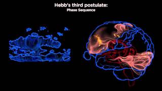 Hebbs Three Postulates from Brain to Soma [upl. by Caralie]