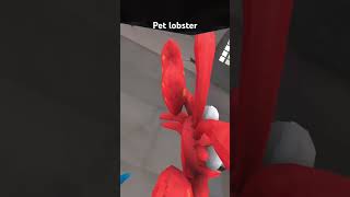 Make my pet lobster go viral please [upl. by Enirehtak]