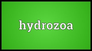 Hydrozoa Meaning [upl. by Reyem483]