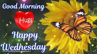 Happy Wednesday WishesHappy Wednesday Whatsapp Status VideoHappy Wednesday GifsHappy Wednesday [upl. by Yup]