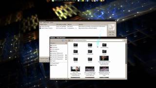 DamnVid Video Downloader amp Converter  Linux Mint 8 [upl. by Arno]