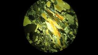 Tremolite in polarizing microscope [upl. by Ciapas559]