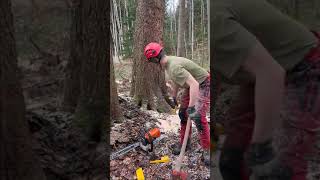 🌲⚒️ quotBaumfällung extremquot ⚒️🌲 [upl. by Calvano]