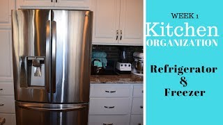 A BOWL FULL OF LEMONS CHALLENGE  WEEK 1 REFRIGERATOR amp FREEZER ORGANIZATION IDEAS [upl. by Orin]