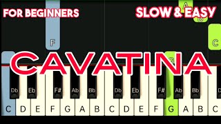 CAVATINA  SLOW amp EASY PIANO TUTORIAL [upl. by Kean]