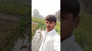 Kisan ki fasal barbad gayon ki vajah seshort storyviral video [upl. by Honan]