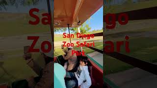 🦏🦁San Diego Zoo Safari Park🚎Africa Tram🦒Giraffe🦵Leg [upl. by Haroppiz]