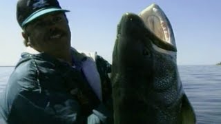 Simply Fishing MONSTER LAKE TROUT WORLD RECORD LAKER [upl. by Esyak969]