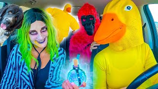 Beetlejuice Surprises Rubber Ducky Puppy and Funny Gorilla with Car Ride Chase [upl. by Ocnarfnaig]